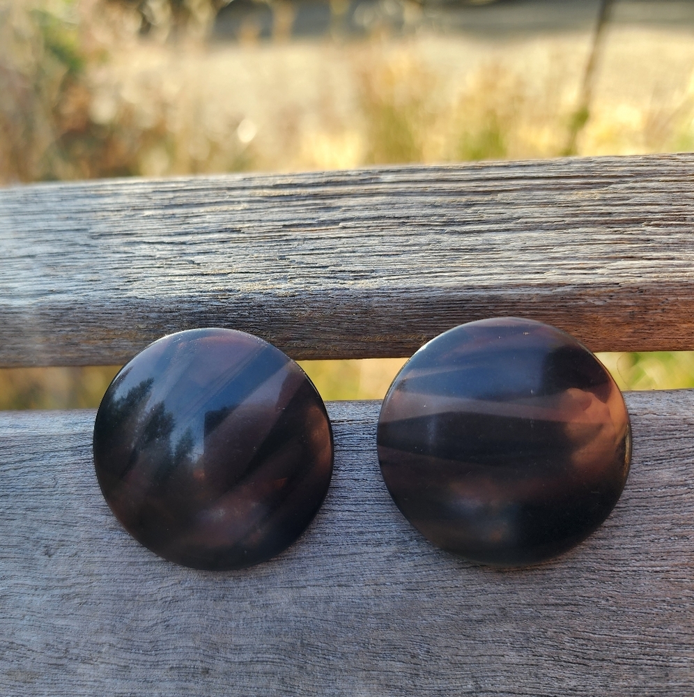 Sophisticated Black and Brown Earrings